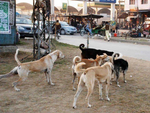 Pakistan