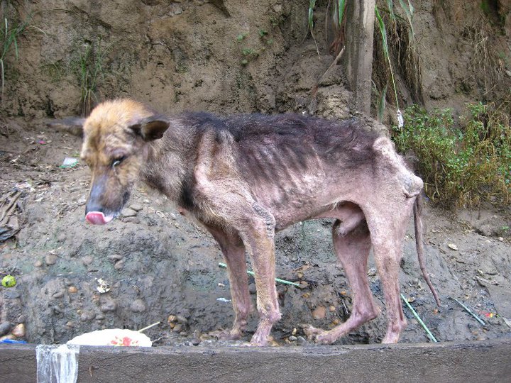 Peru