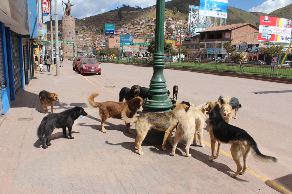 Peru