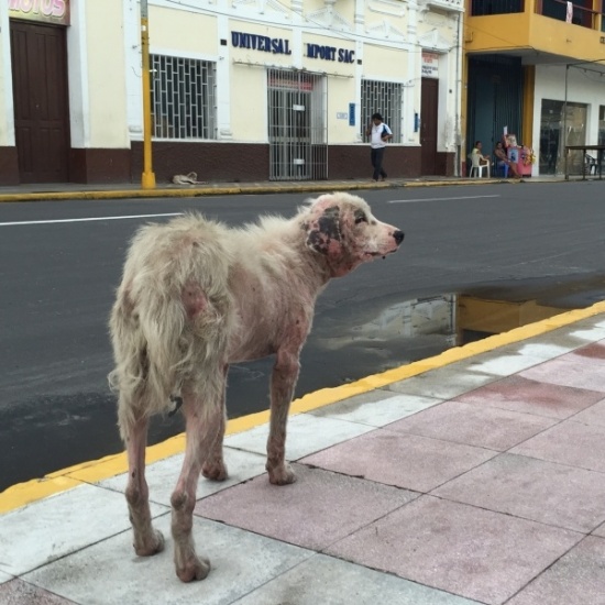 Peru