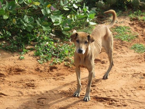 Sri Lanka